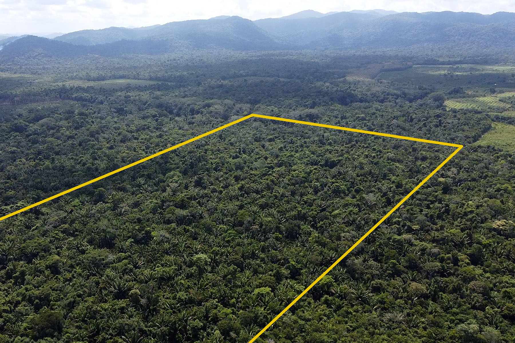 33.09 Acres of Agricultural Land in the Mayflower Area • Vista Real Estate